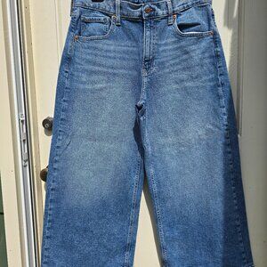 GAP Flare Blue Denim Jeans